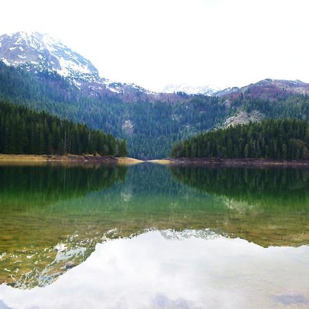 Guesthouse Zabljak Екстер'єр фото